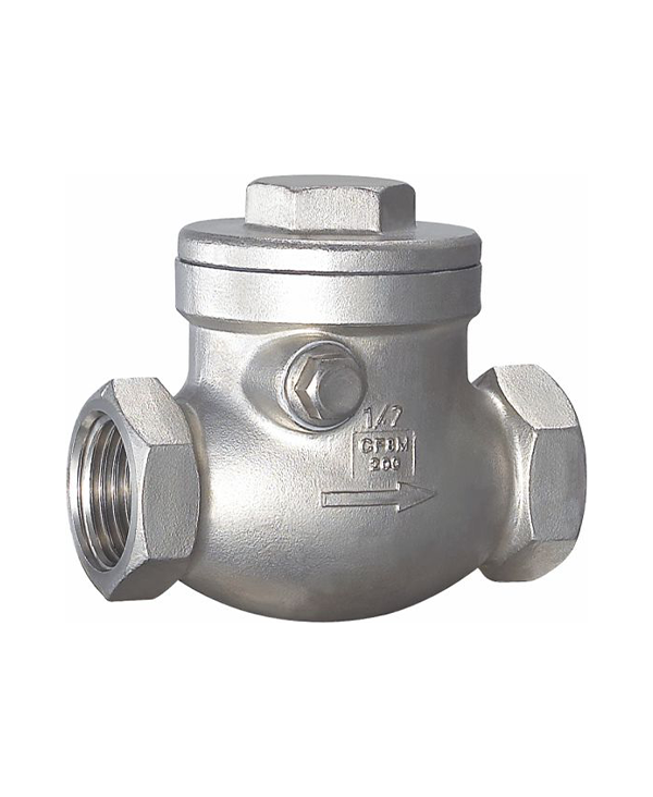 Swing Check Valve