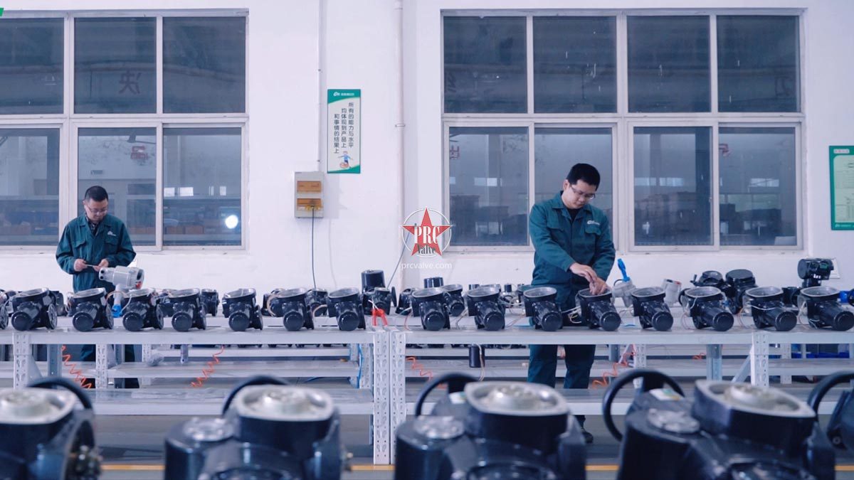 Scibold Group Co,Ltd