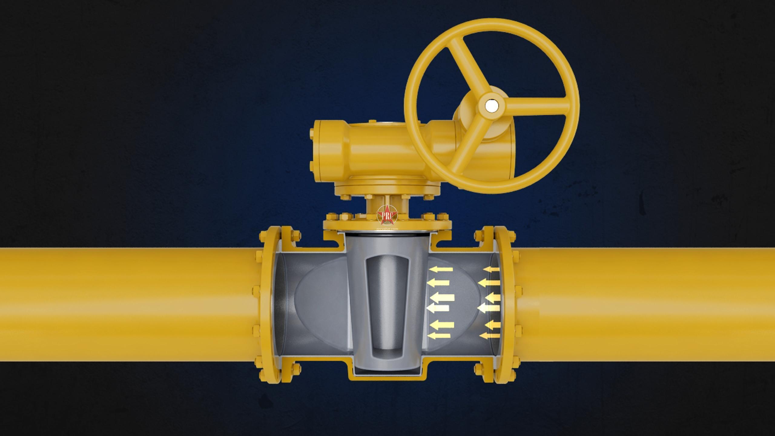 Plug Valve