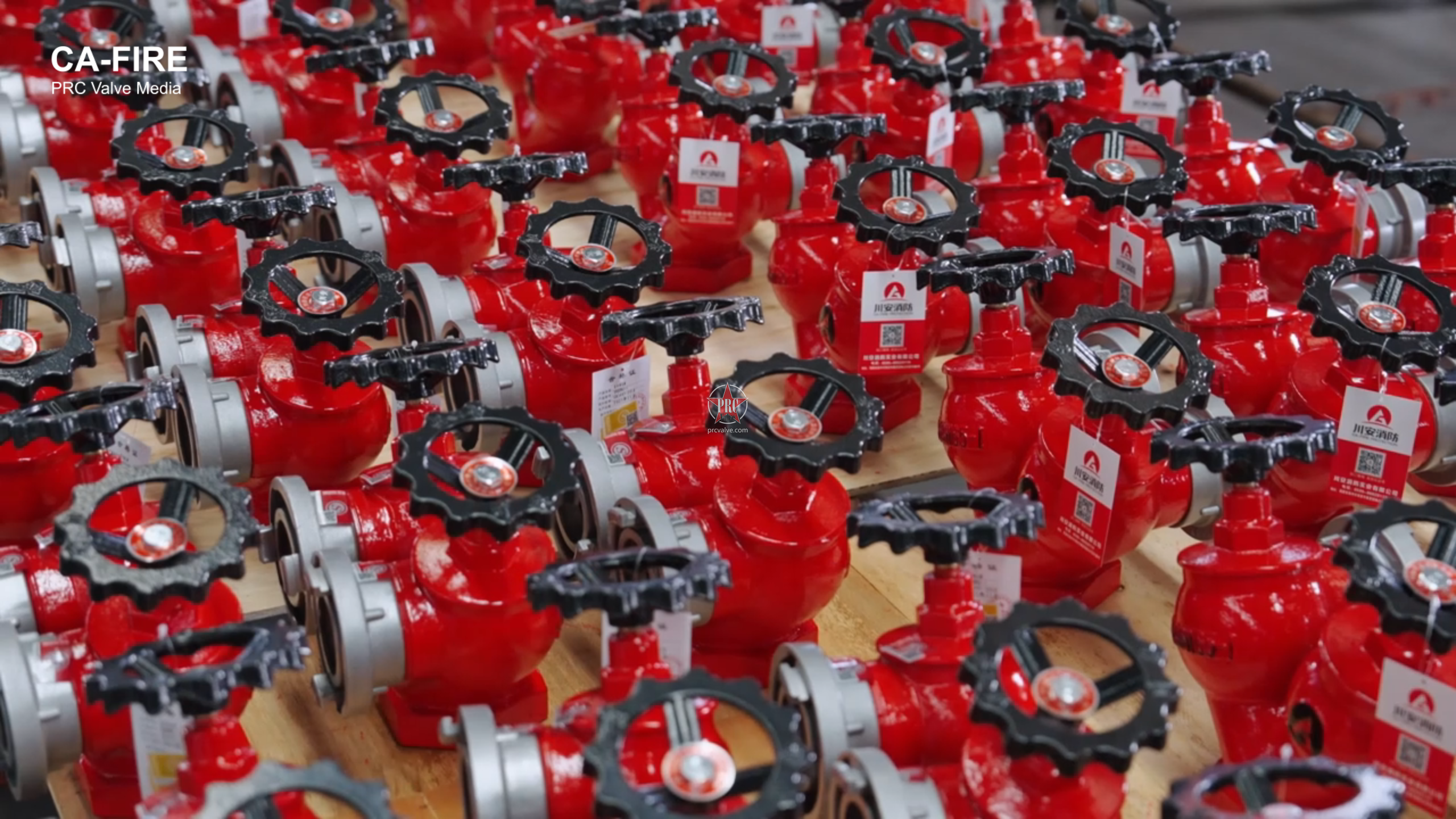 SNSSW65-I Indoor Fire Hydrant – CA-FIRE