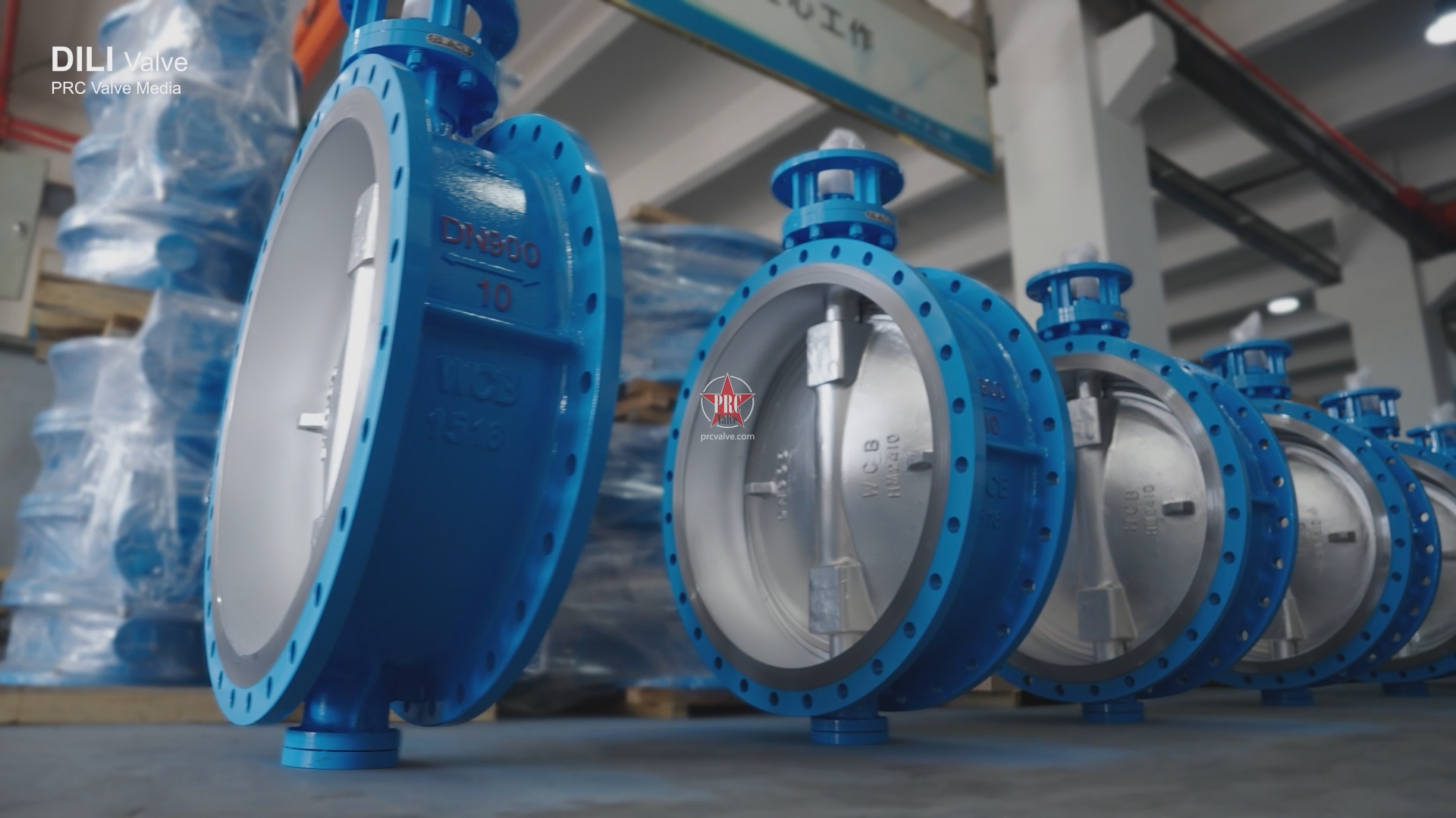 Two-way pressure flange butterfly valve - DiLi