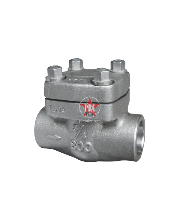 Cryogenic Check Valves