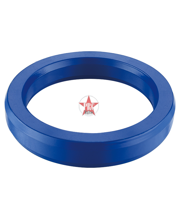 Sprayed Teflon Octagonal Gasket