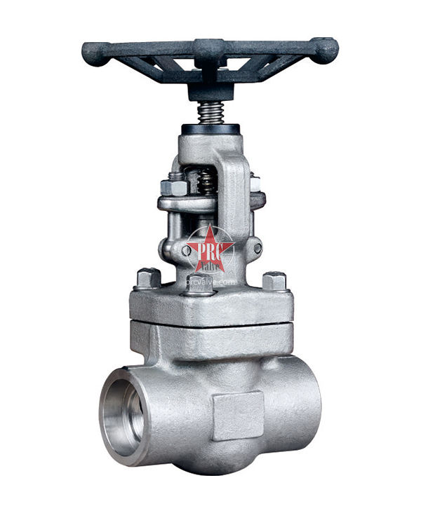 Forged steel globe valve