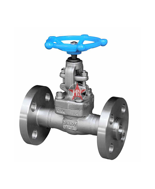 Integral forged flange globe valve