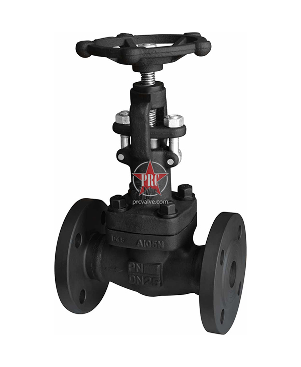 Forged Steel Globe Valves