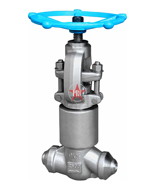 Power Station Globe Valve