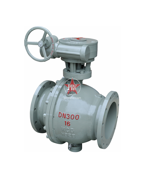 Fixed ball valve