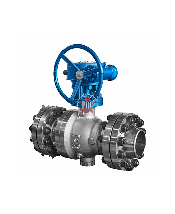 Fixed ball valve