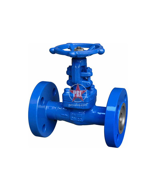 Forged steel gate valve