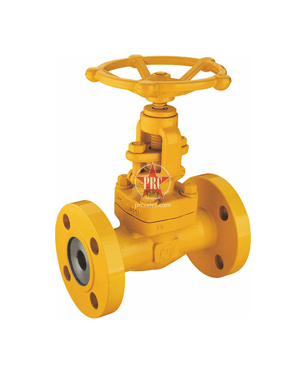 Globe Valve