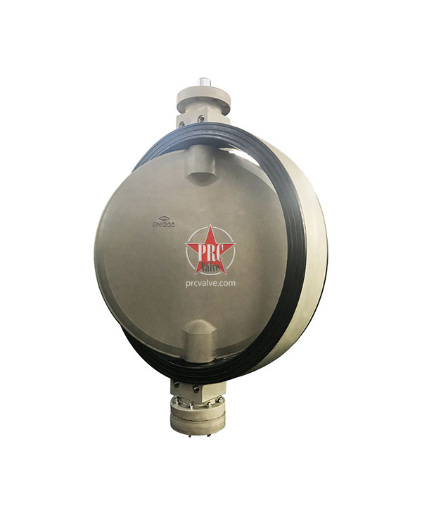 Plastic butterfly valve