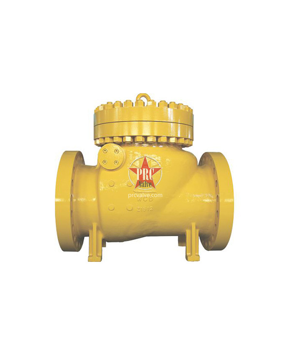 Swing check valve