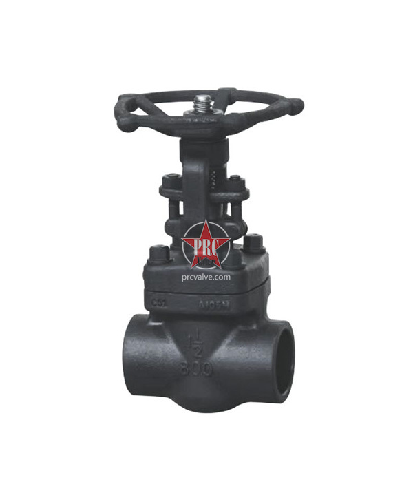 Socket welding globe valve