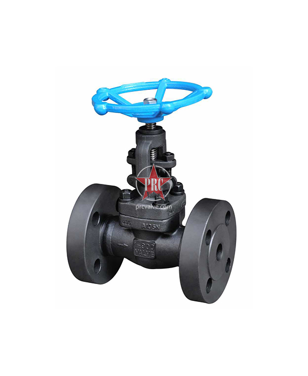Forged steel flange globe valve