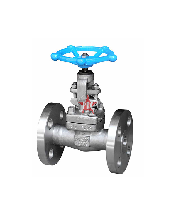 Forged Steel Globe Valves