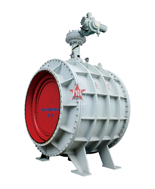 Special globe valve for double partition gas