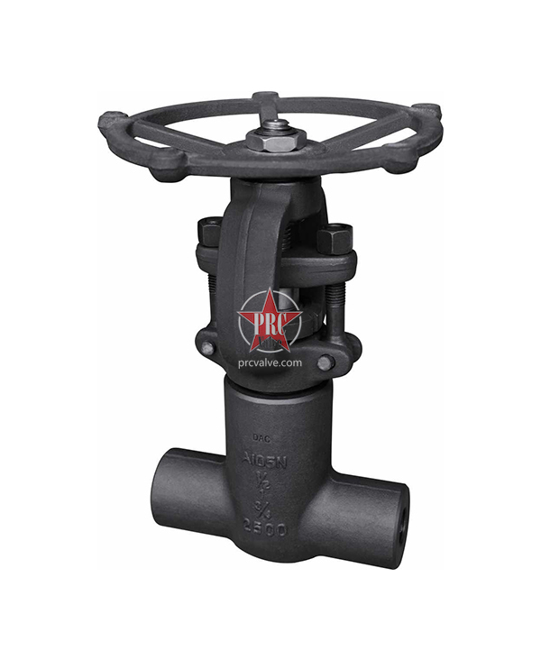 Forged steel gate valve