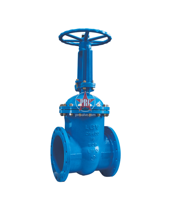 Cast Steel Gate Valve