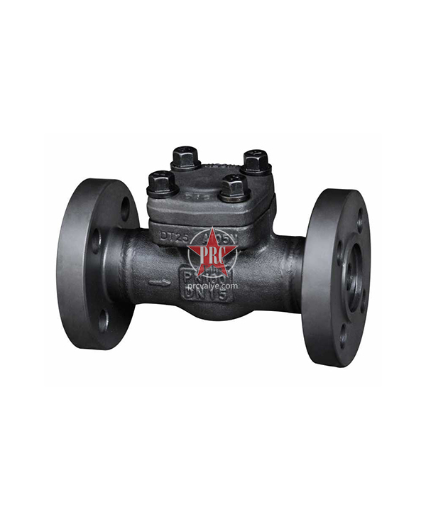 Forged steel lifting, swinging flange check valve