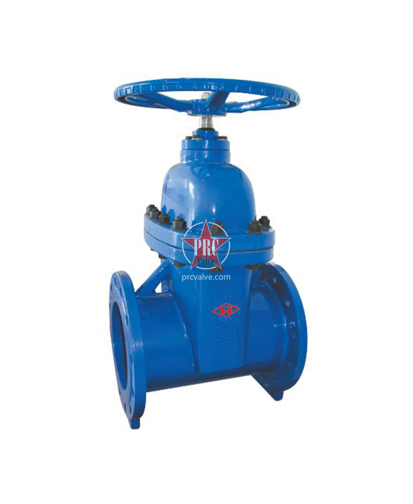Soft seal gate valve
