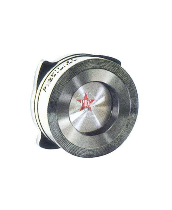 Double clip lift check valve