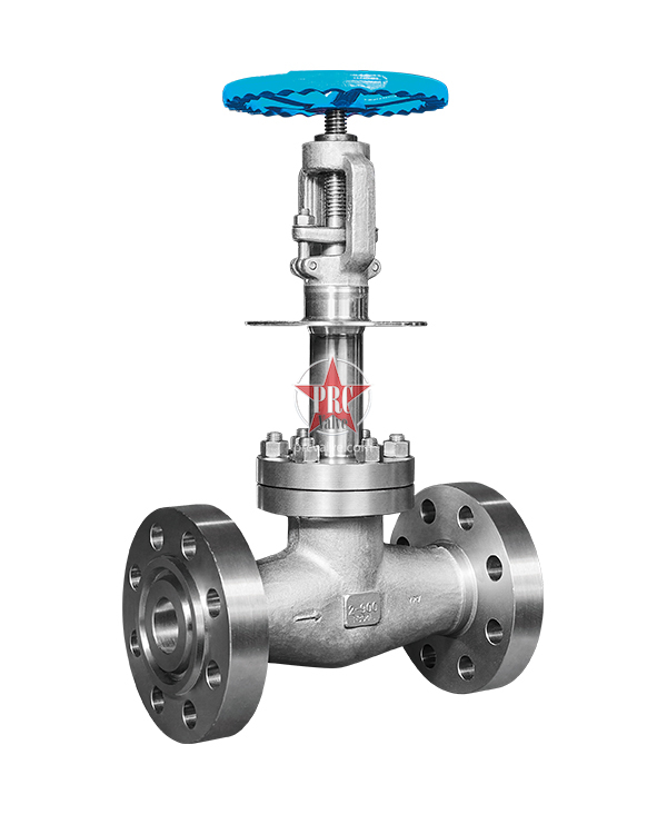 Forged Steel Cryogenic Globe Valve