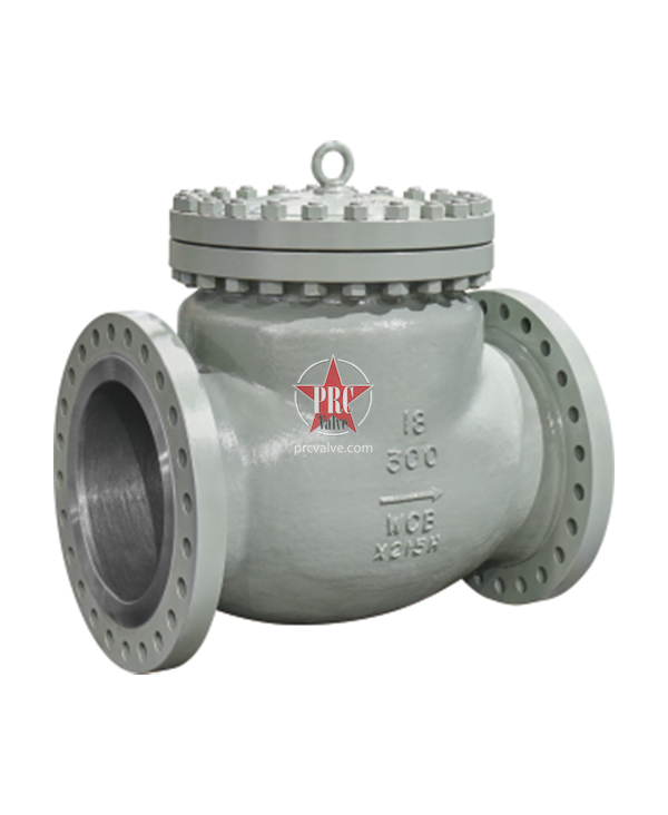 American standard check valve