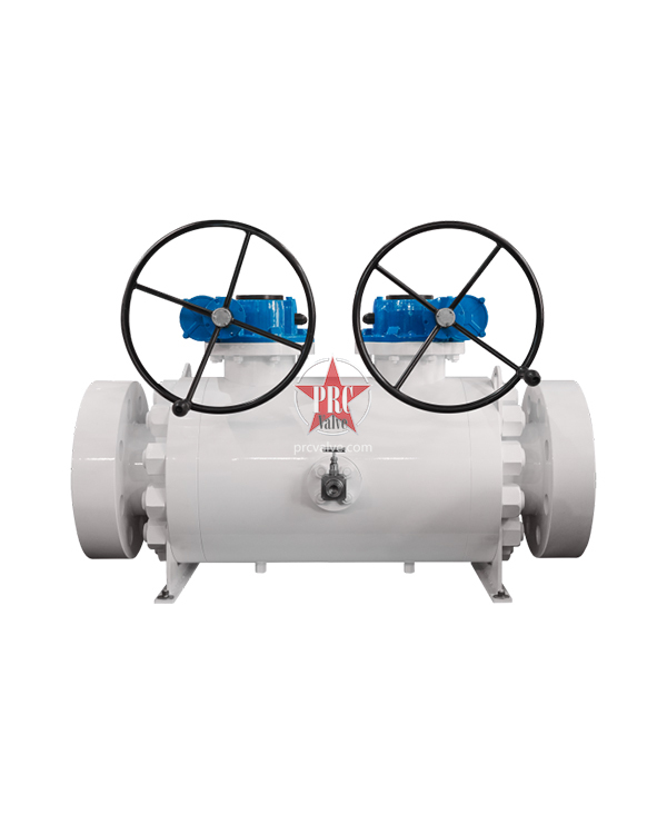 Double Ball Valve