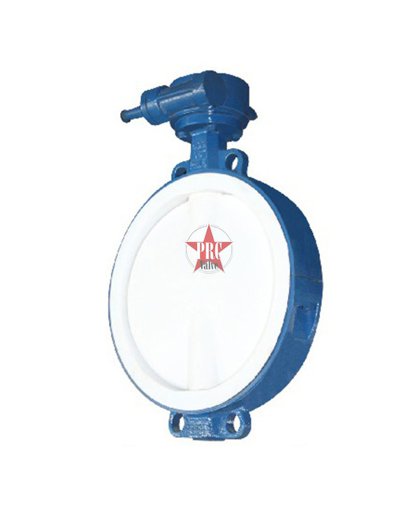 Fluorine lined butterfly valve