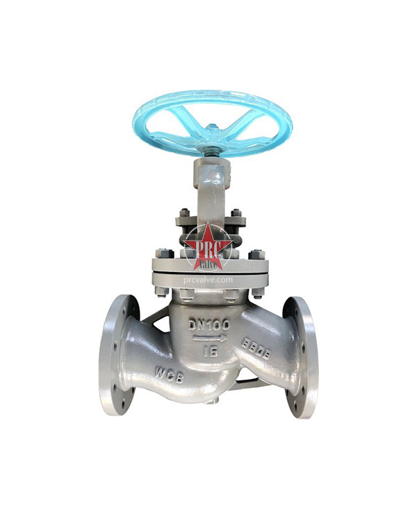 Flanged globe valve