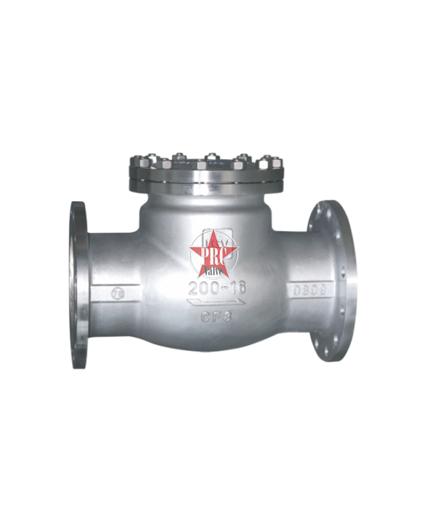 Stainless Steel Check Valve