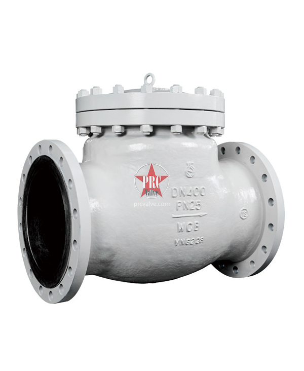 Cast steel check valve