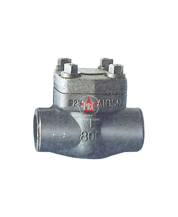 Socket weld check valve