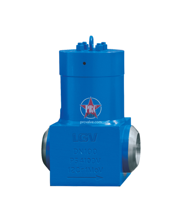 Forged Steel Power Station Check Valve