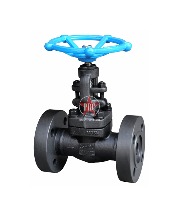 Forged Steel Flange Globe Valve