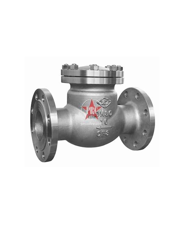 Swing check valve