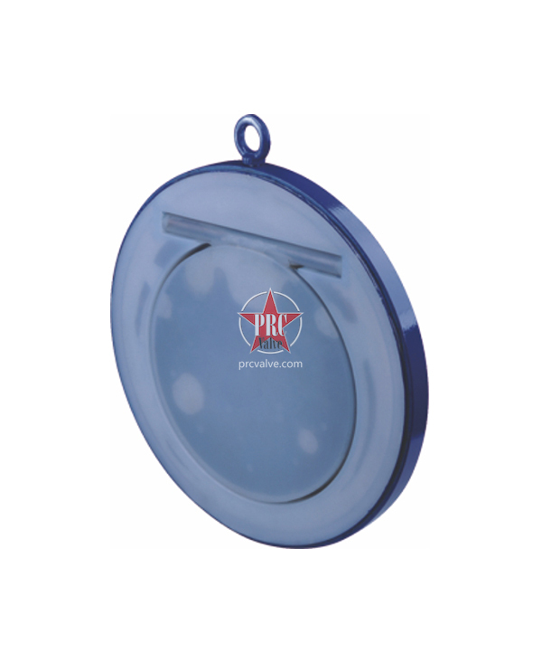 Fluorine lined wafer check valve