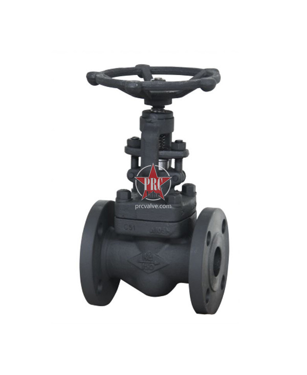 Forged steel flanged globe valve