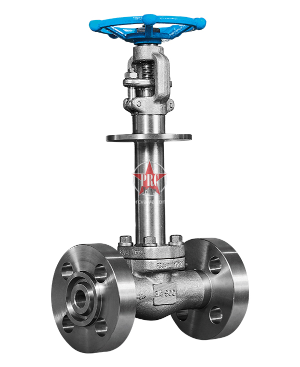 Forged Steel Cryogenic Gate Valve