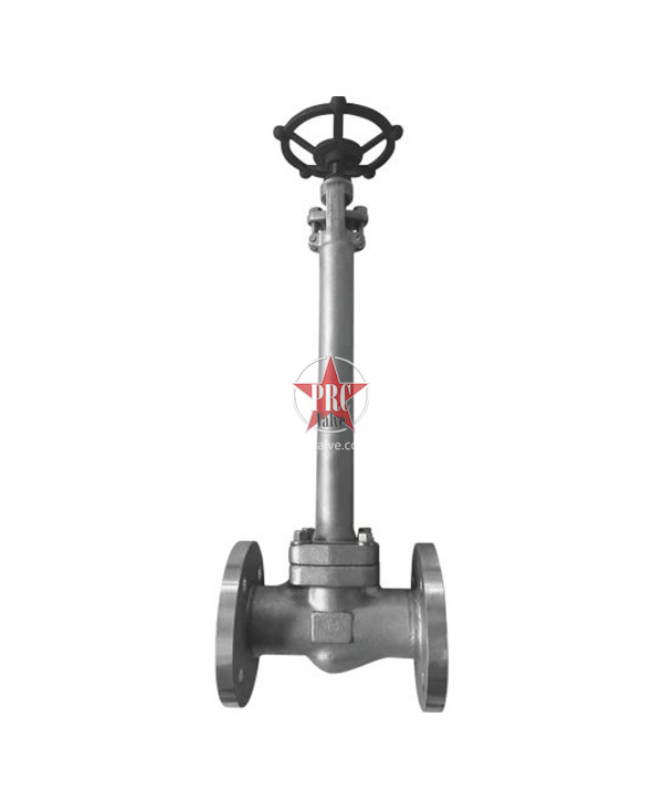 Cryogenic globe valve