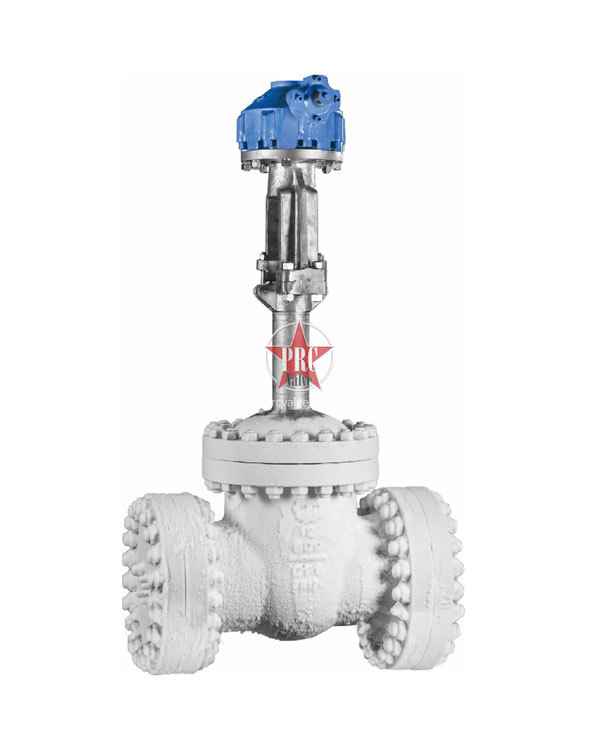 美标不锈钢低温闸阀