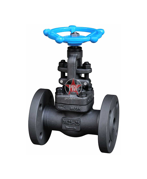 Forged Steel Globe Valves