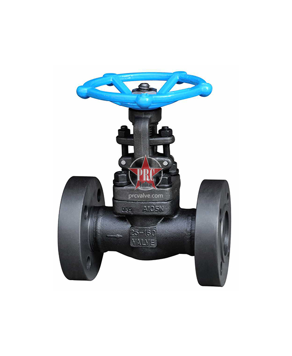 Forged steel gate valve
