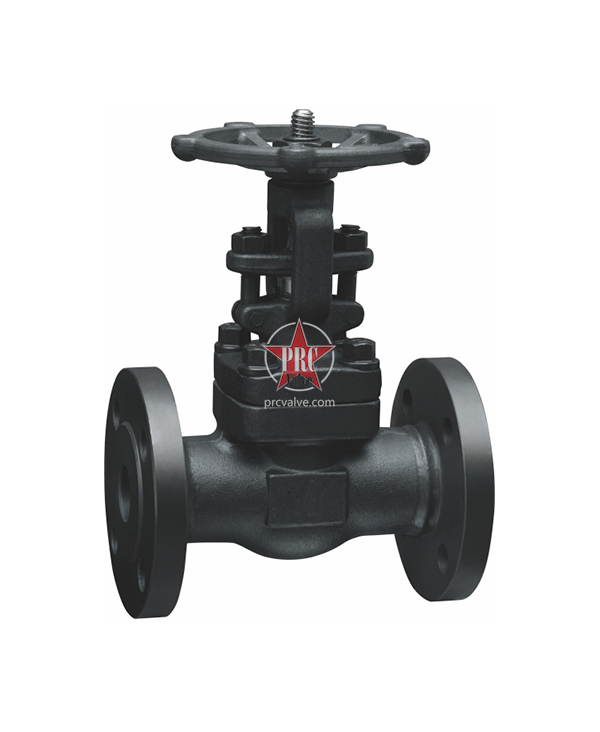 Forged steel flanged gate valves