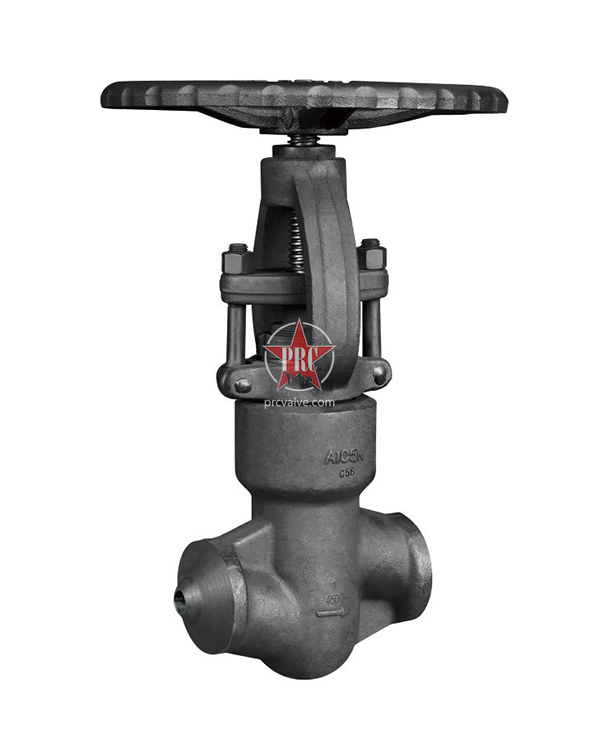 Hydrogen globe valve