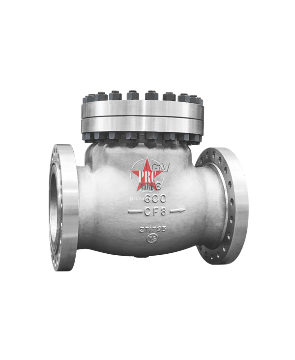 American Standard Stainless Steel Check Valve