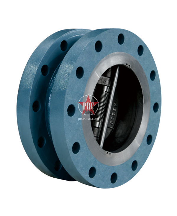 Dual Plate swing check valve