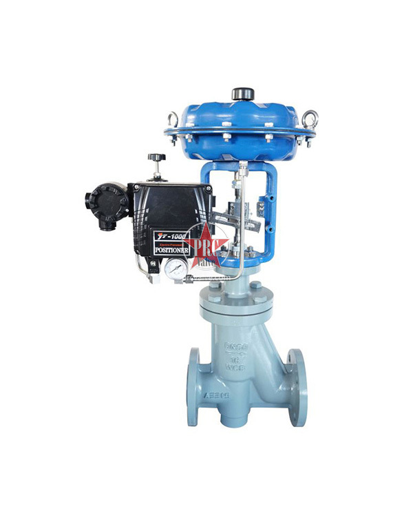 Pneumatic lined tetrafluororegulator