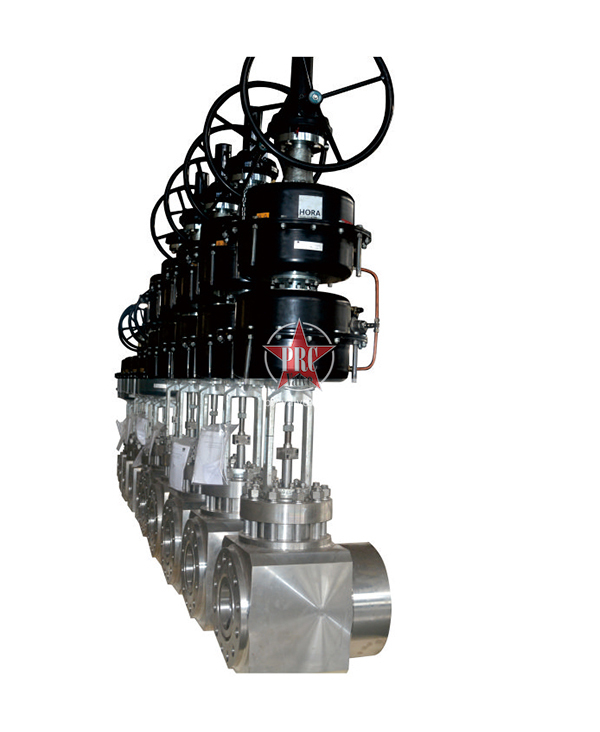 Special globe valve for aerospace wind tunnel